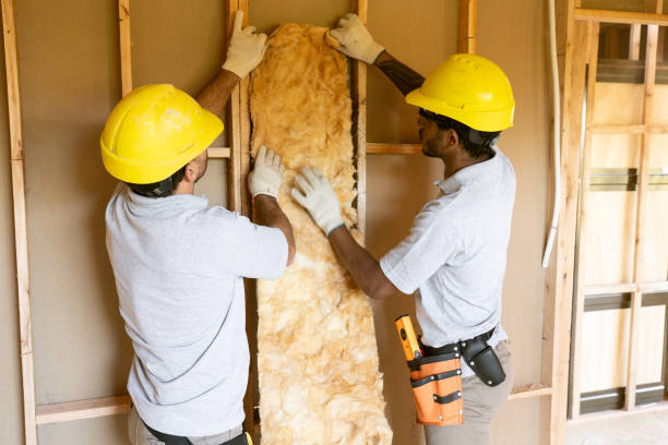 Best Professional Insulation Contractor  in Gibbstown, NJ
