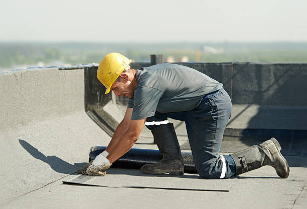 Best Insulation Contractor Near Me  in Gibbstown, NJ